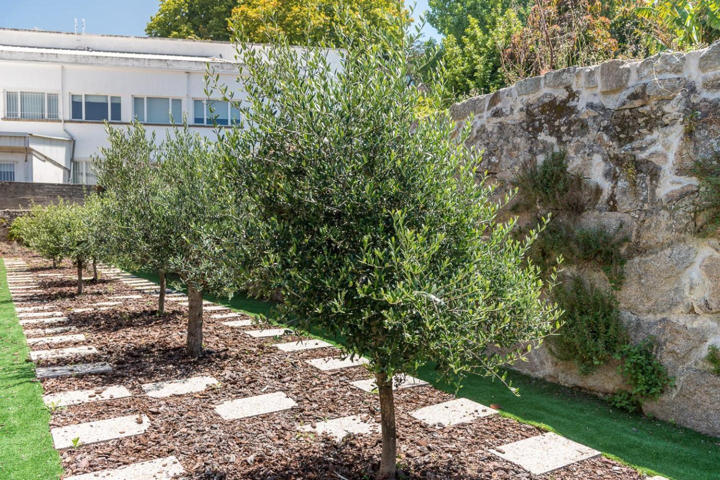 Guestready - Jardim Das Oliveiras Guesthouse - 2 Porto Buitenkant foto